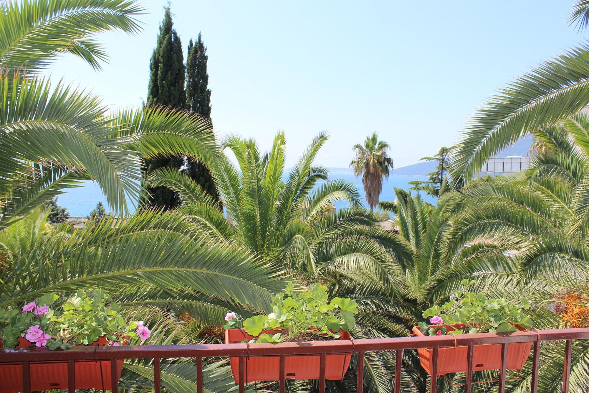 Apartmani i sobe Goca Herceg Novi Esterno foto