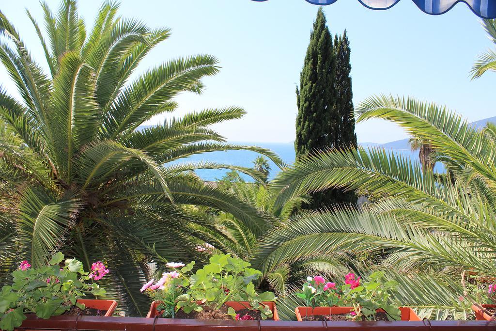 Apartmani i sobe Goca Herceg Novi Esterno foto
