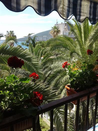Apartmani i sobe Goca Herceg Novi Esterno foto