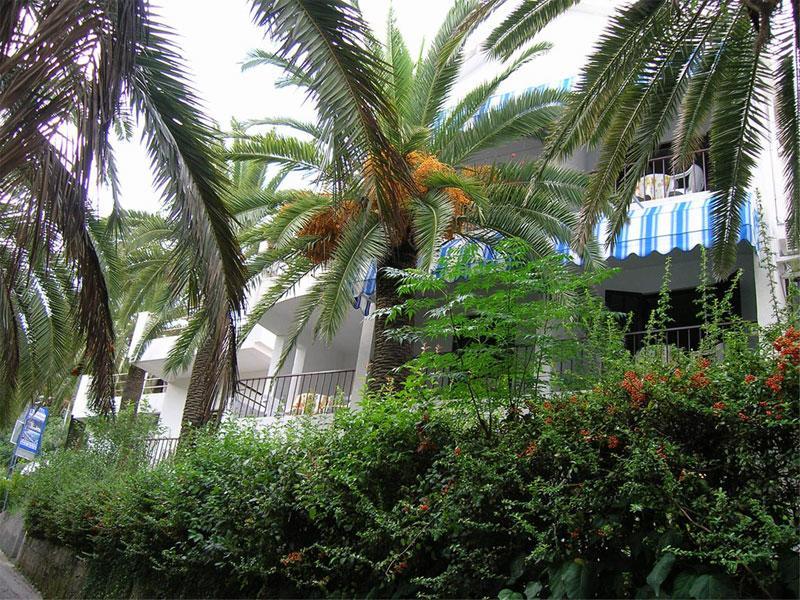 Apartmani i sobe Goca Herceg Novi Esterno foto